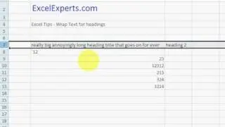 ExcelExperts.com - Excel Tips  - Wrap Text for headings