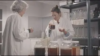 Coming Full Circle | Part 3: Plants Magic | The story of our new Botanical Hair Treatment