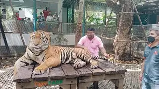 SSRAM KE SHERO KE SHER , SHER KE SAATH KHELTE HUE | 13/06/2022