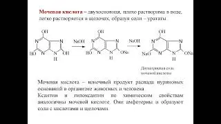 Михеева_Лариса_Алексеевна_Химия_Гетероциклические_соединения