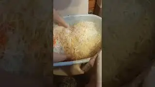 Квашенье капусты механической шинковкой.