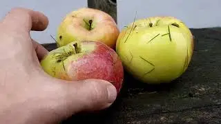 ЧТО Я ДЕЛАЛ НА ВЫХОДНЫХ?
