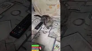 Поссорилась с мужем🤭