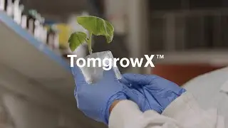 TOMGROW סרט תדמית