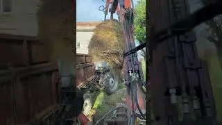 Літній сільський вайб 😎