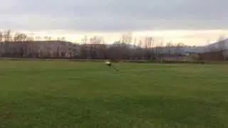 Lukas Riva training in Stabio, Switzerland with MSH Protos 700