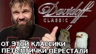 Обзор на Давидофф Классик 2023