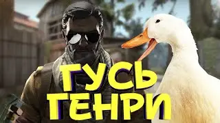 ЗАДАНИЯ ГУСЯ ГЕНРИ ВОЗВРАЩАЮТ ГЛОБАЛА. Я НАСТОЯЩИЙ БАЙТЕР l МОНТАЖ