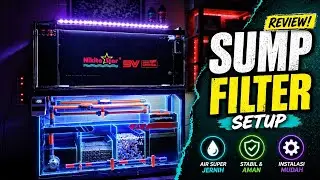 REVIEW OF THE LATEST SUMP FILTER AQUARIUM...‼️