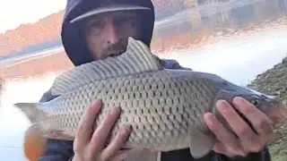Any Fin Is Possible is live!