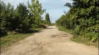 п. Никологоры ул. Юбилейная