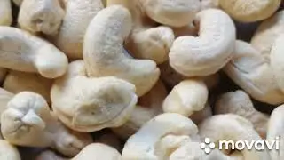 @cashew #panruti cashew 