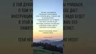 8 декабря 2023 г.