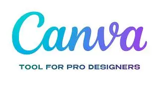 Why I Chose CANVA as Senior Designer