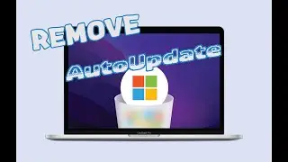 Delete Microsoft AutoUpdate on macOS