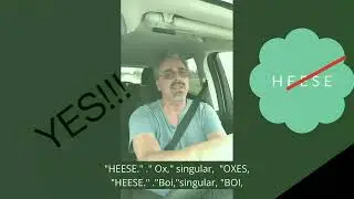 Wacky English! Some animals singular and plural. Makes no sense!