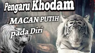 Pengaru Khodam Harimau Putih pada diri