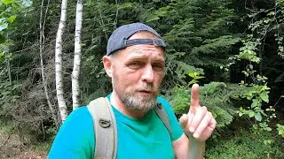 КАЖДЫЙ поход с ГРИБАМИ! Ждали ДОЖДЕЙ, теперь ждем СОЛНЦА!