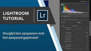 Het aanpassingspenseel in Lightroom voor de mooiste details in hooglichten
