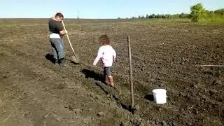 Дмитрий Гревцев Деревенская