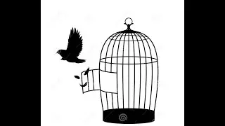 Trapped Bird Got Its Freedom Back