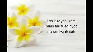 Kev Hlub Coj Wb Los Sib Cuag  Maiv Ntxawm Yaj