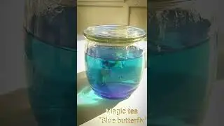 Magic tea #bluebuterfly