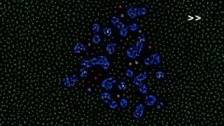 How life emerges from a simple particle motion law: Introducing the Primordial Particle System
