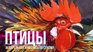 Птицы. Долго, сложно и очень красиво. Техника живописи акварелью по сухому