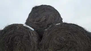 Как скирдовать сено! Как складывать рулоны!