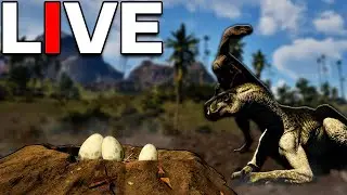 Oh My GAWD I'm Going To Nest Dinosaurs! | The Isle Evrima Live Gameplay