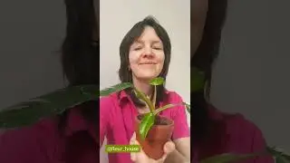 У вас также? 