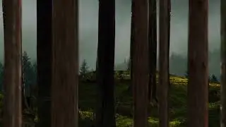 DaVinci Resolve/Fusion - forest pan, campfire and smoke (particles)