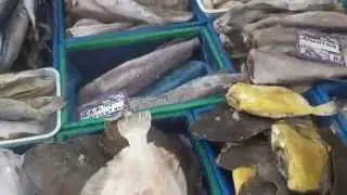 Рыбачка Соня и Костя на Новом Привозе,Одесса