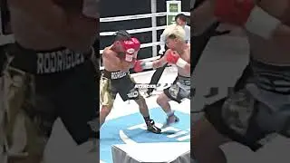 Perfect Boxing Combination