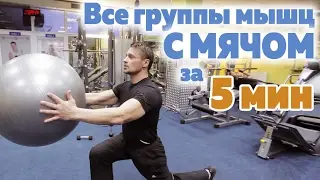 Упражнения на ВСЕ ГРУППЫ МЫШЦ С МЯЧОМ.