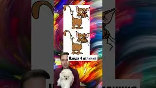 Найди 4 отличия 🤔🙀🤣 