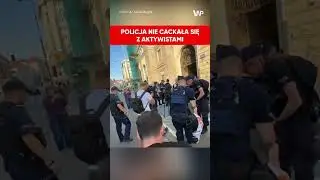 Policyjny nokaut aktywistów. Służby wyjaśniły ich w 2 minuty