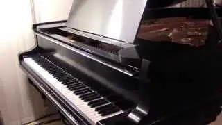 John Arpin  playing 
