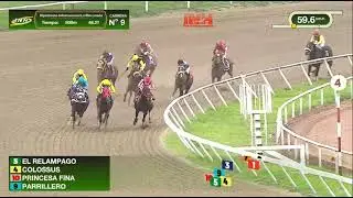 C191 LA RINCONADA COPA NEGRESCO 2026 PRINCESA FINA