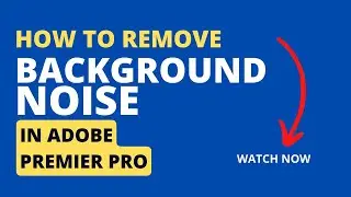 How to remove the background noise from a video in premiere pro | adobe premier pro