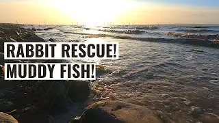 Almost A Double - I Got There In The End - Sea Fishing UK