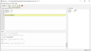 Variables, input and type conversion