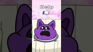 Catnap Big Pipe Blockage