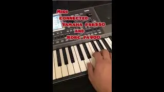 Midi соединения клавиатуры KORG pa900 и YAMAHA PSR 550