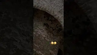 This cave was absolutely FILLED with bats!🦇😱