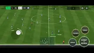 ADEK KAKAK KETIKA DIRUMAH LAGI SEPI NO PEWE #17