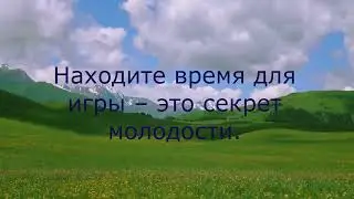 сцитита дня