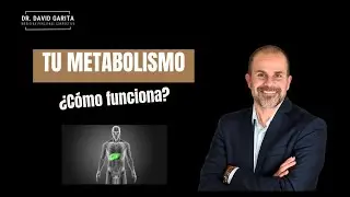Como funciona tu metabolismo