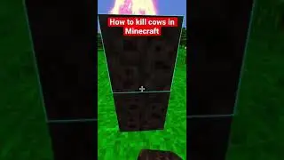 How To Kill Cows In Minecraft…